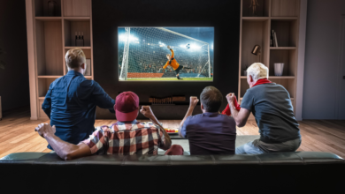 Sports Live Streaming Sites That Bring the Stadium Atmosphere to You